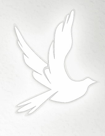 Mary T (Coyne) Regan Ferdinand Obituary
