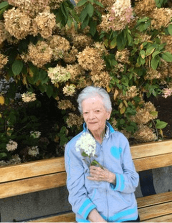 Antoinette M. (Del Rosso) Cook Obituary
